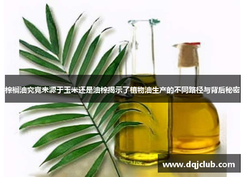 棕榈油究竟来源于玉米还是油棕揭示了植物油生产的不同路径与背后秘密